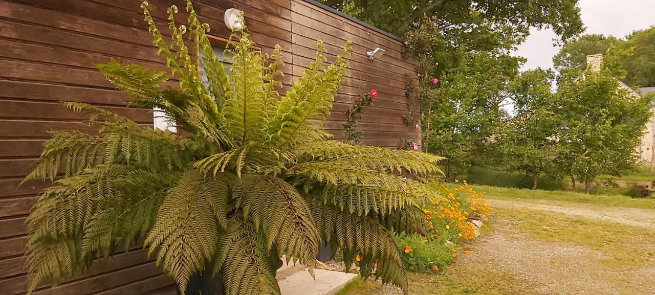 L'Oustaou Du Bodo Bed & Breakfast Ambon Luaran gambar