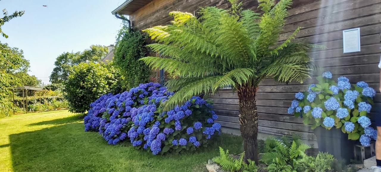 L'Oustaou Du Bodo Bed & Breakfast Ambon Luaran gambar